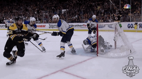 happy 2019 stanley cup finals GIF by NHL