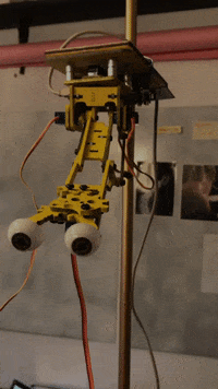linalopes  GIF