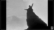 Sassy Watch Me GIF by Arrow Video