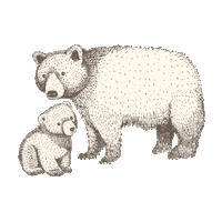 Bear Sticker by Little Planet