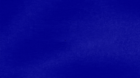 Celebrityjeopardy GIF by Jeopardy!