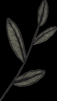 kati_naturals leaves comfy kati katinaturals GIF