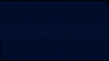 red bull f1 GIF by Red Bull Racing