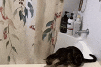 Sneak Attack Oops GIF