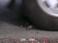 action league nicksplat GIF