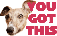 Lolly The Whippet Sticker