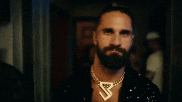 Seth Rollins GIF by A Day To Remember