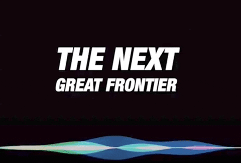 nunisnowden giphygifgrabber voice garyvee GIF