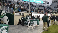 Michigan State Player Takes to Field With Dogs on Senior Night Following Death of Parents