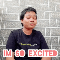 Im So Excited GIF