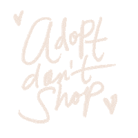 Adopt Dont Shop Sticker