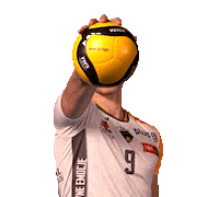 Team Ball Sticker by trefl_gdansk