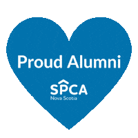 Cats Adopt Sticker by Nova Scotia SPCA