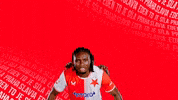 Football Celebration GIF by SK Slavia Praha