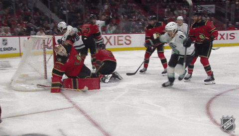 Happy National Hockey League GIF by NHL