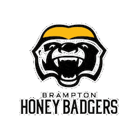 Basketball Nba Sticker by Brampton Honey Badgers