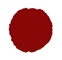 rudigierorgel neu handlettering weiss rot Sticker