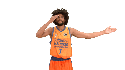 Liga Endesa Sport Sticker by ACB