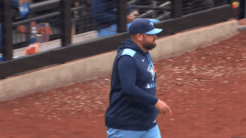 Blue Jays Baseball GIF by Toronto Blue Jays