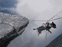 dog mountain climbing GIF by HuffPost