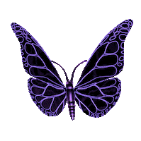 Hanatruly Sticker by HANA