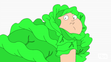 GIF by American Dad