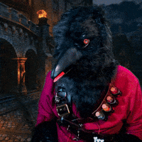 Bird Feel Better GIF