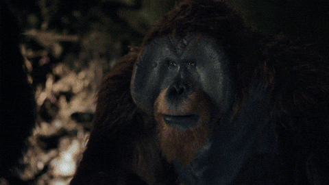 nova maurice GIF by War for the Planet of the Apes