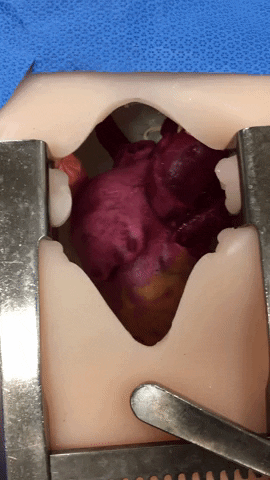 ba999 giphygifmaker GIF