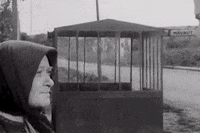 Film Kiss GIF