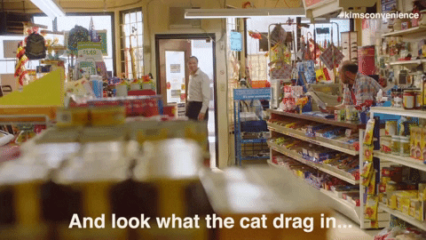 look what hello GIF by Kim's Convenience