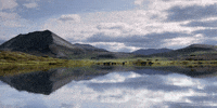 david attenborough landscape GIF by Head Like an Orange