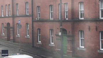 Jack Russell Barks at Passers-By From Precarious Position on Upstairs Window Ledge