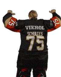 Ice Hockey Sticker by deb_teams
