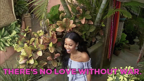 season 5 jubilee GIF by Bachelor in Paradise