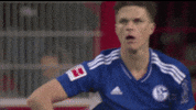 Football No GIF by FC Schalke 04