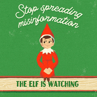 Happy On The Shelf GIF by INTO ACTION