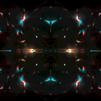 kronogenesis megasoma GIF