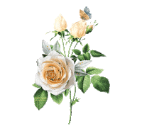 artisanblossoms love white rose valentine Sticker