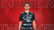 Hamburger Sv Hello GIF by Bundesliga