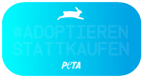 Hund Adopt Dont Shop GIF by PETA Deutschland e.V.