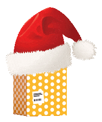 Posti gift present parcel posti Sticker