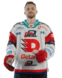 Hockey Czech Sticker by HC Dynamo Pardubice
