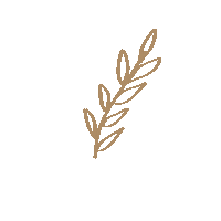 bellaqsboutique simple minimal leaf leaves Sticker