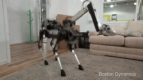 dog robot GIF