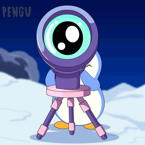 Crypto Looking GIF by Pudgy Penguins