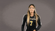 Volleyball Calstatela GIF by Cal State LA Golden Eagles