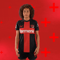 Lets Go Bundesliga GIF by Bayer 04 Leverkusen