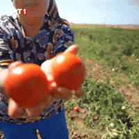 Twins Eat GIF by TRT