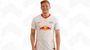 Oh Yeah Yes GIF by RB Leipzig